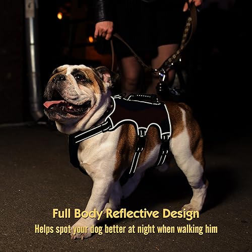 Miniatura 5 de Arnés para perro a prueba de escape, ajustable, sin tirones, con asa de elevación, clip para correa, chaleco acolchado reflectante transpirable para