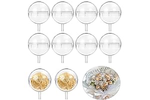 100pcs Chocolate Ball Holder: Transparent Notion of Love