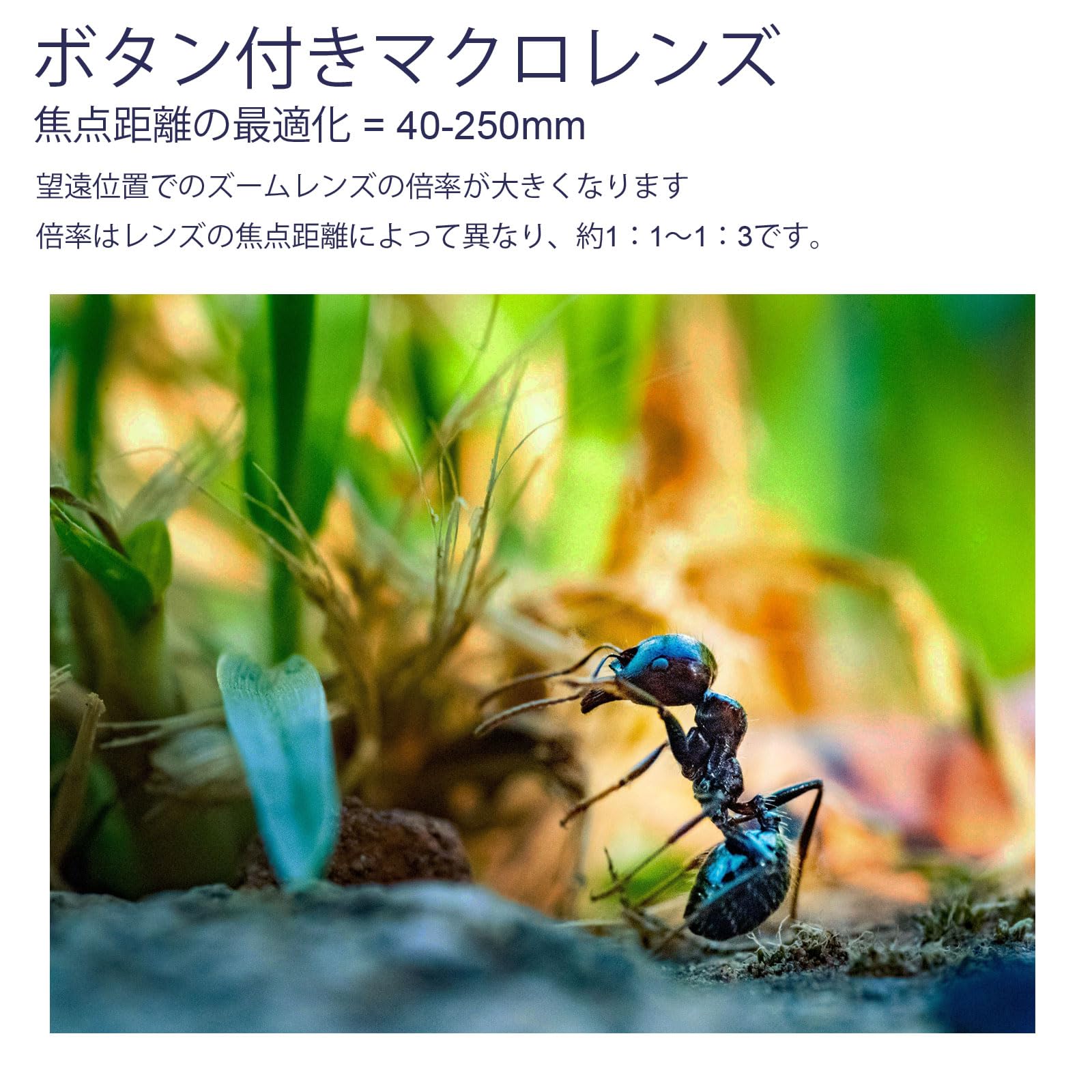 ワイド　マクロレンズとアタッチメントスペーサー　取付φ37 Amazon.co.jp: 37mm 0.25X スーパー魚眼レンズ追加レンズ