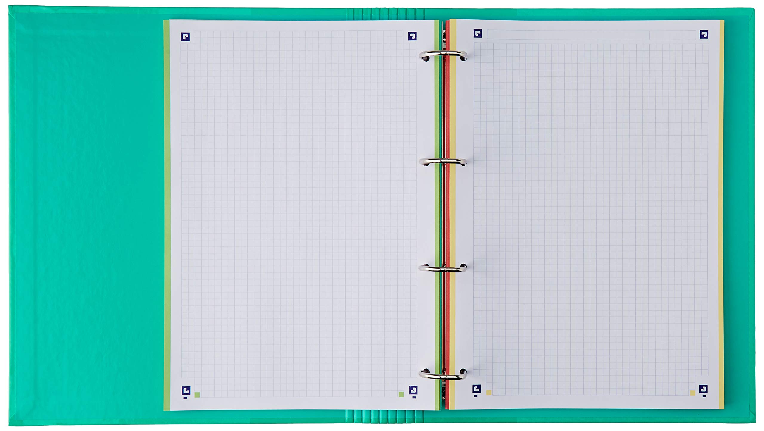 Raccoglitore Oxford A4+ A 4 Anelli - Con Chiusura In Gomma E Griglie Di Ricarica | Design Zoco, Colorato - Foto 2