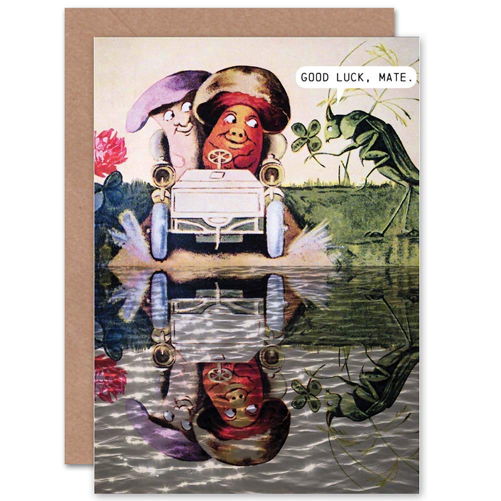 Wee Blue Coo TRIPPY MUSHROOM GOOD LUCK ART GREETINGS GREETING CARD GIFT