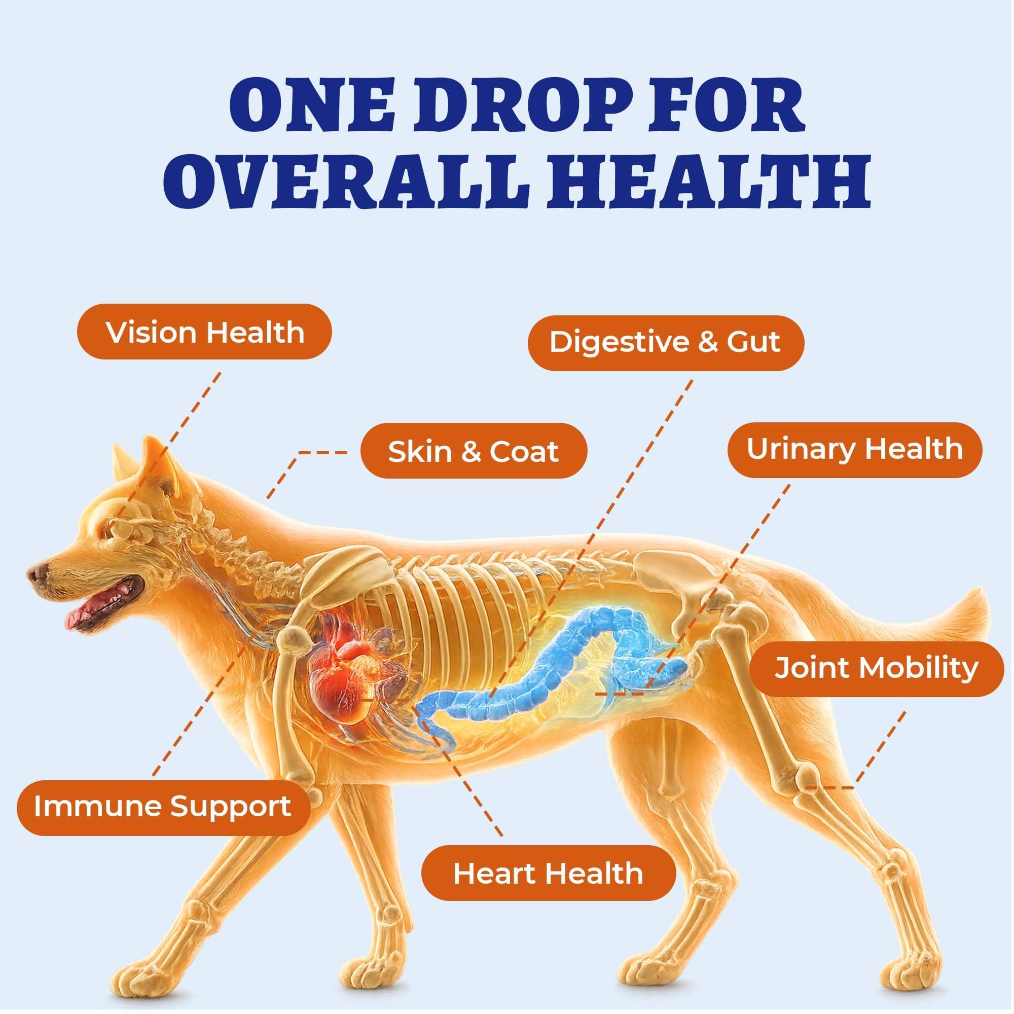 Wellix 4.06 fl oz 24-in-1 Liquid Multivitamin with Taurine for Dogs & Cats — Amazon image 5