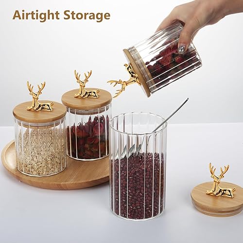 Miniatura 6 de Topsky Juego de 5 tarros de almacenamiento de vidrio de borosilicato, recipientes transparentes para almacenamiento de alimentos con tapa de bambú