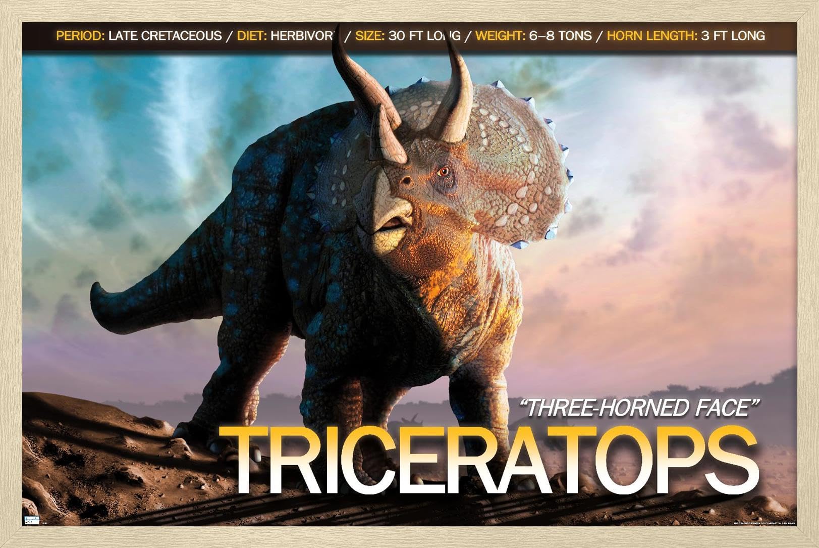 Amazon.com: Trends International Dinosaurs - Triceratops Wall