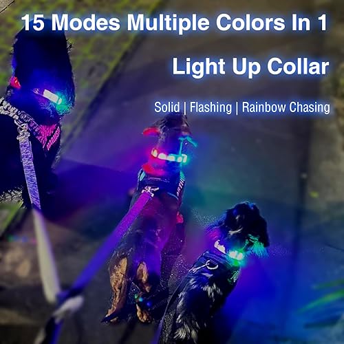 Miniatura 2 de Collar de perro recargable USB-C, collar de luz multicolor súper brillante, resistente a la intemperie, luz de seguridad para caminar por la noche,