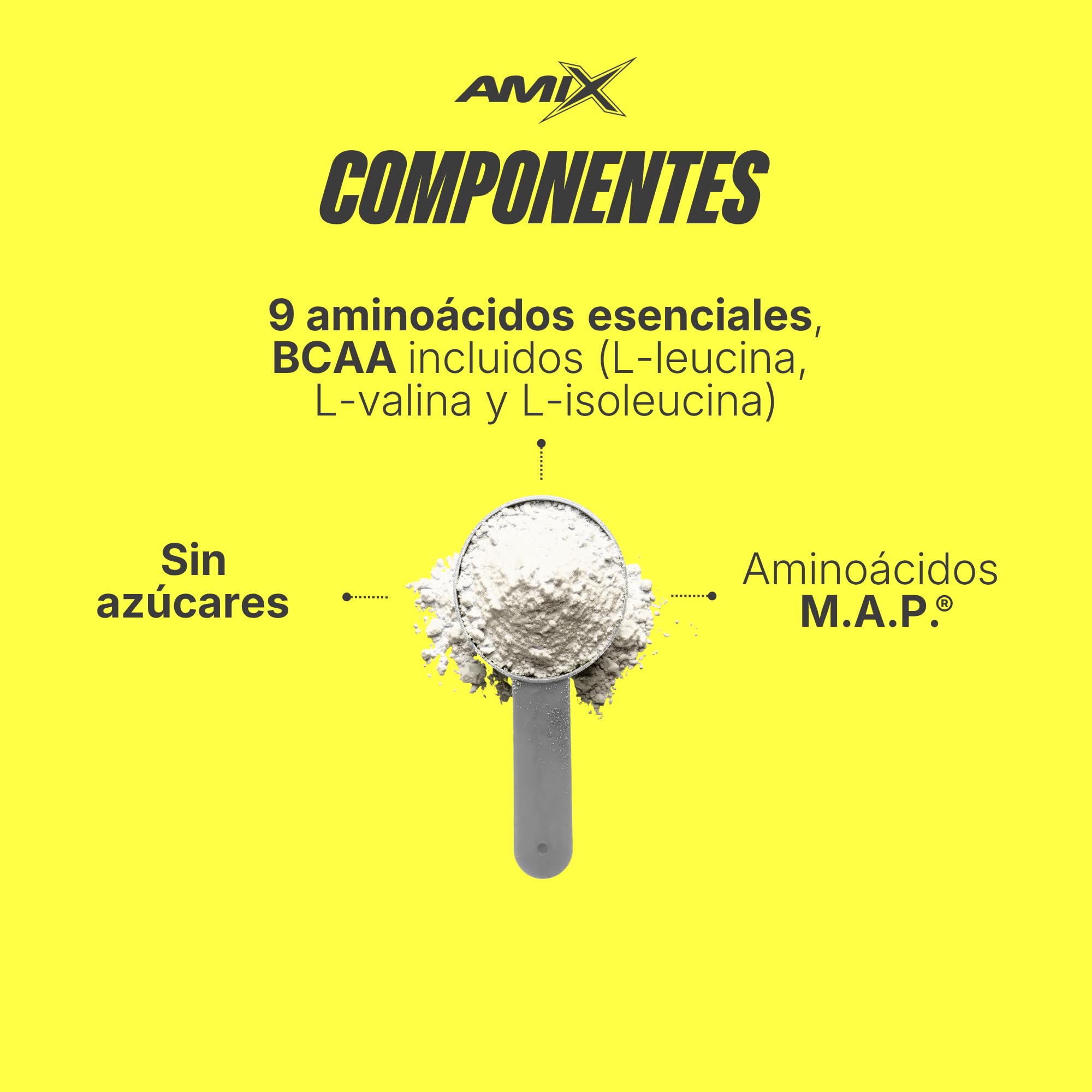 AMIX - Aminoácido en Polvo Muscle Amino Power - Suplemento Alimenticio que Aumenta la Fuerza y la Resistencia Muscular - Sabor Frutas del Bosque - 344 g