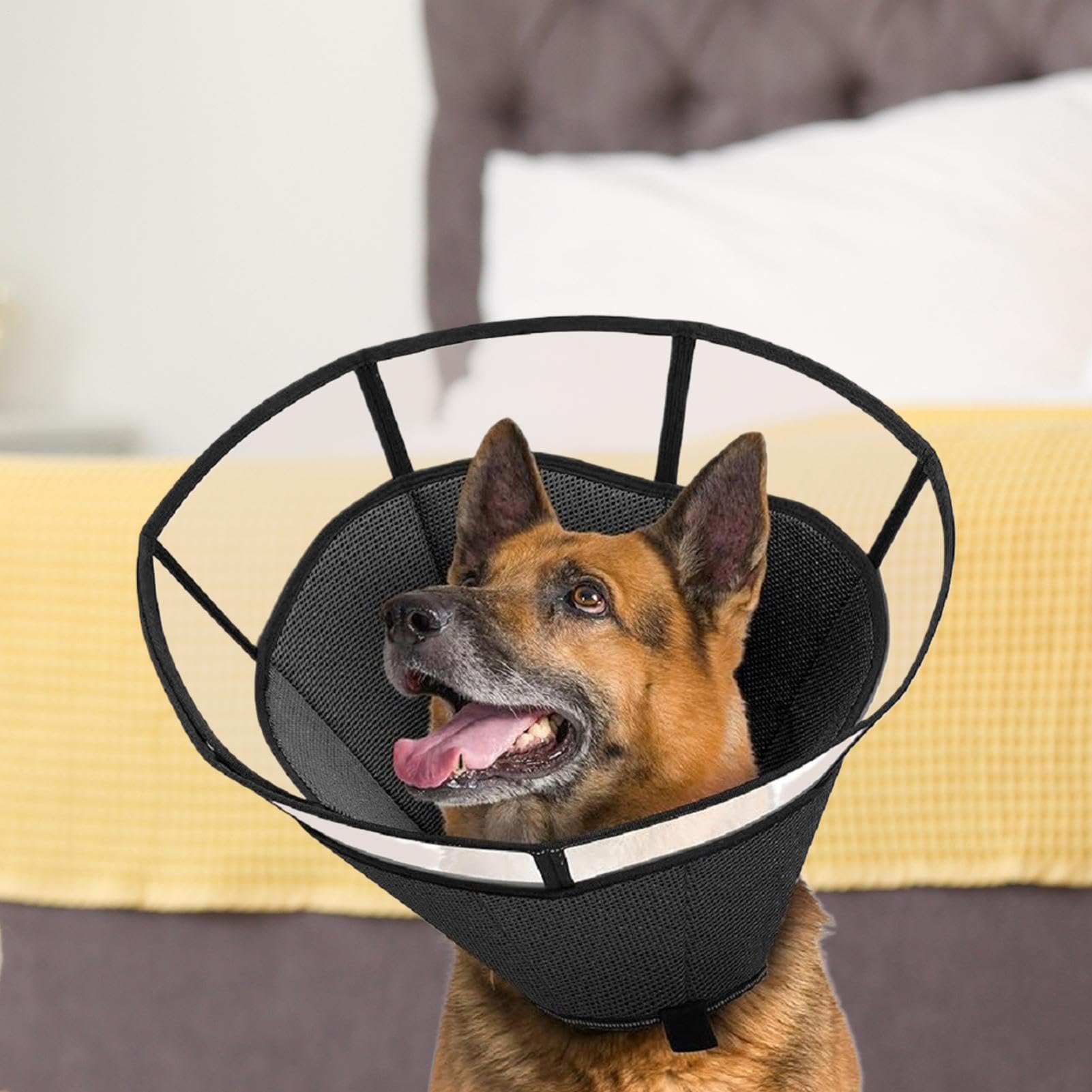 Cono Per Cani Piccoli - Guardia Protettiva Regolabile Anti-Leccamento - Cono Traspirante | Per La Protezione Delle Ferite La Cura Del Collo E La Gestione Della Salute Del Vostro Cane