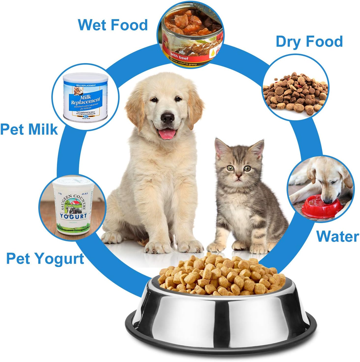 Pet Supplies : Rxyia Dog Bowl Stainless Steel Dog Bowl with Rubber Base for Small/Medium/Large Dogs,Kittens (Set of 2) (10oz) : 