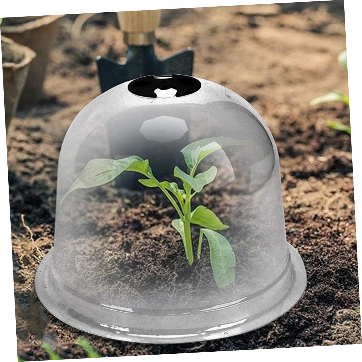 Milisten Cloches de pour Plantes de Pépinière Cloches pour Fleurs de Jardin Petites Plantes