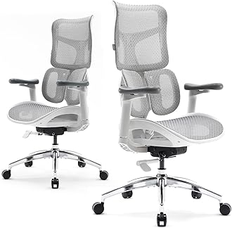 Doro S100 Ergonomic Office Chair - with Dual Dynamic Lumbar Support, 5-Level Adjustable Backrest, 4D Coordinated Armrests, 135-degree Max. Recline Angle, Suitable for Home Office (S100 White)