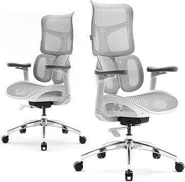 SIHOO Doro S100 Ergonomic Office Chair - Dual Dynamic Lumbar Support, 4D Coordinated Armrests, 5-Level Adjustable Backrest, Recline Angle 135-degree Max. Suitable for Home Office Grey