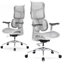 SIHOO Doro S100 Office Chair Double Dynamic Lumbar Support