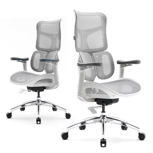 SIHOO Doro S100 Ergonomic Office Chair: Technical Spec & Adjustment Breakdown