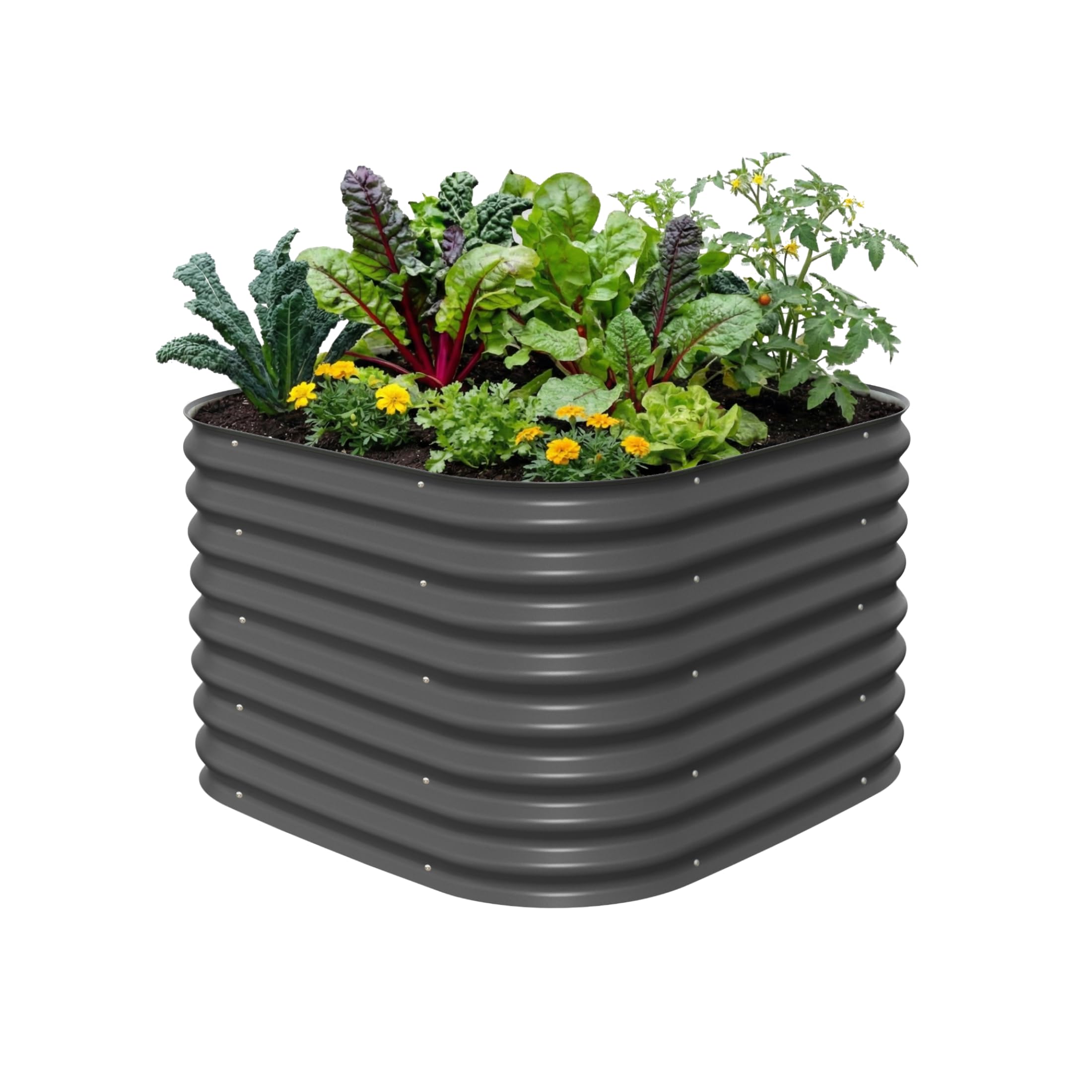 Vego Garden 26 Extra Tall Raised Garden Bed Kit