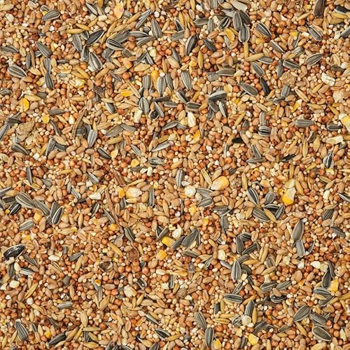 Leimüller Vogelfutter Wildvögel Ganzjährig 10kg (Classic) - Österreichisches Wildvogelfutter Ganzjahresfutter - Hochwertiges Streufutter Staubfrei & ohne Zusatzstoffe