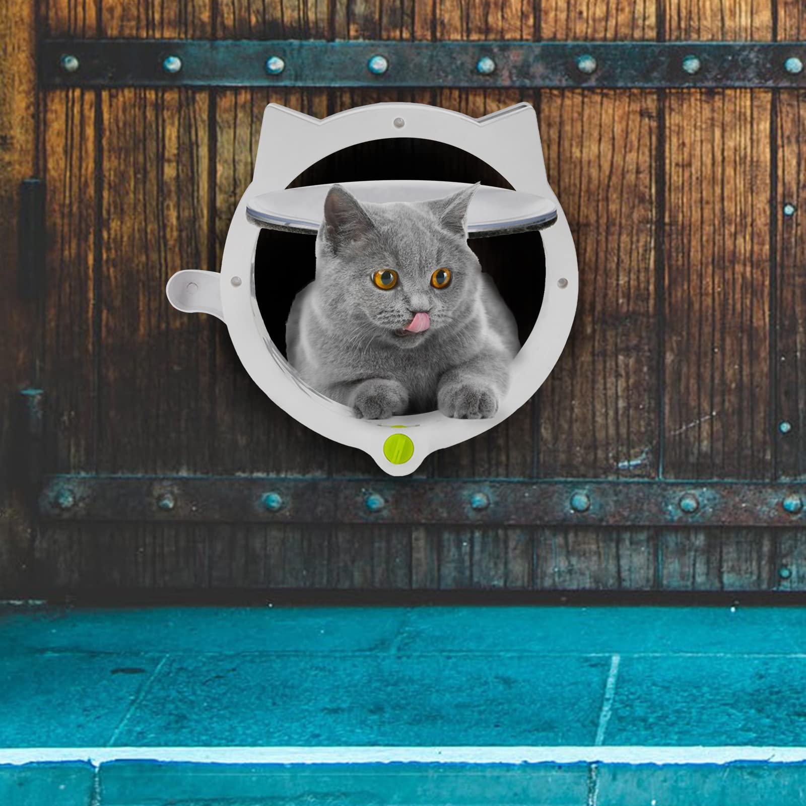 Porte pour chat verrouillable pour portes intérieures et extérieures, chatière intérieure pour animaux domestiques, porte pour chat, installation facile