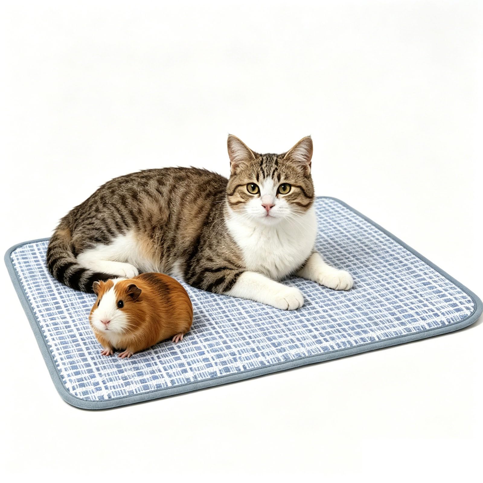rexinwadfu 50x35 cm Cooling Pad for Rabbit, Hamster Cooling Pad, Summer Ice Pad Sleeping Bed for Small Animals Guinea Pigs, Blue