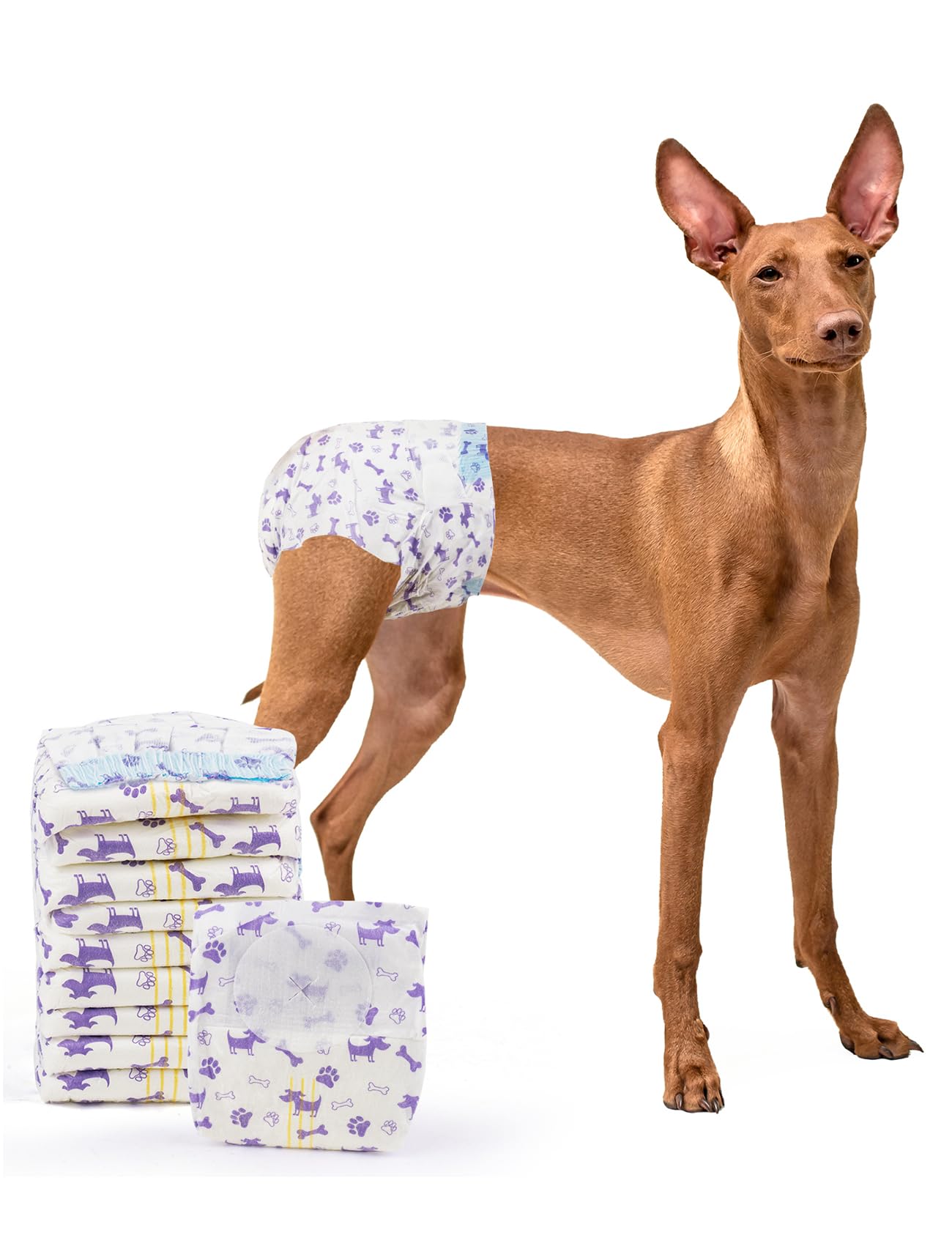 MICOOYO Disposable Dog Diapers Female, Doggie Diapers for Dogs Female, Super Absorbent Pet Diaper with Foam Tail Hole for Heat, Comfortable Puppy