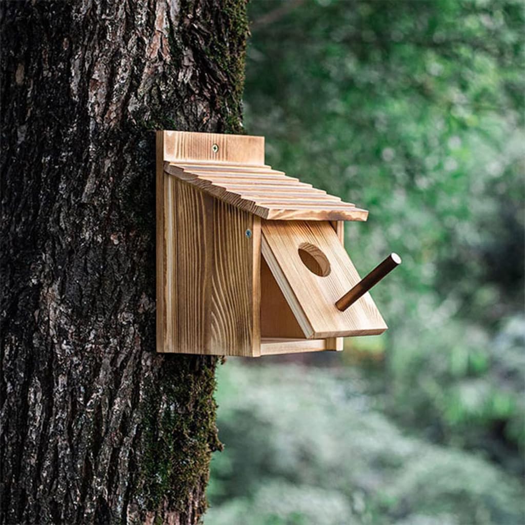 Amazon.co.jp: Jshigogo 巣箱 鳥小屋 野鳥の巣箱 屋外 小鳥巣箱 DIY