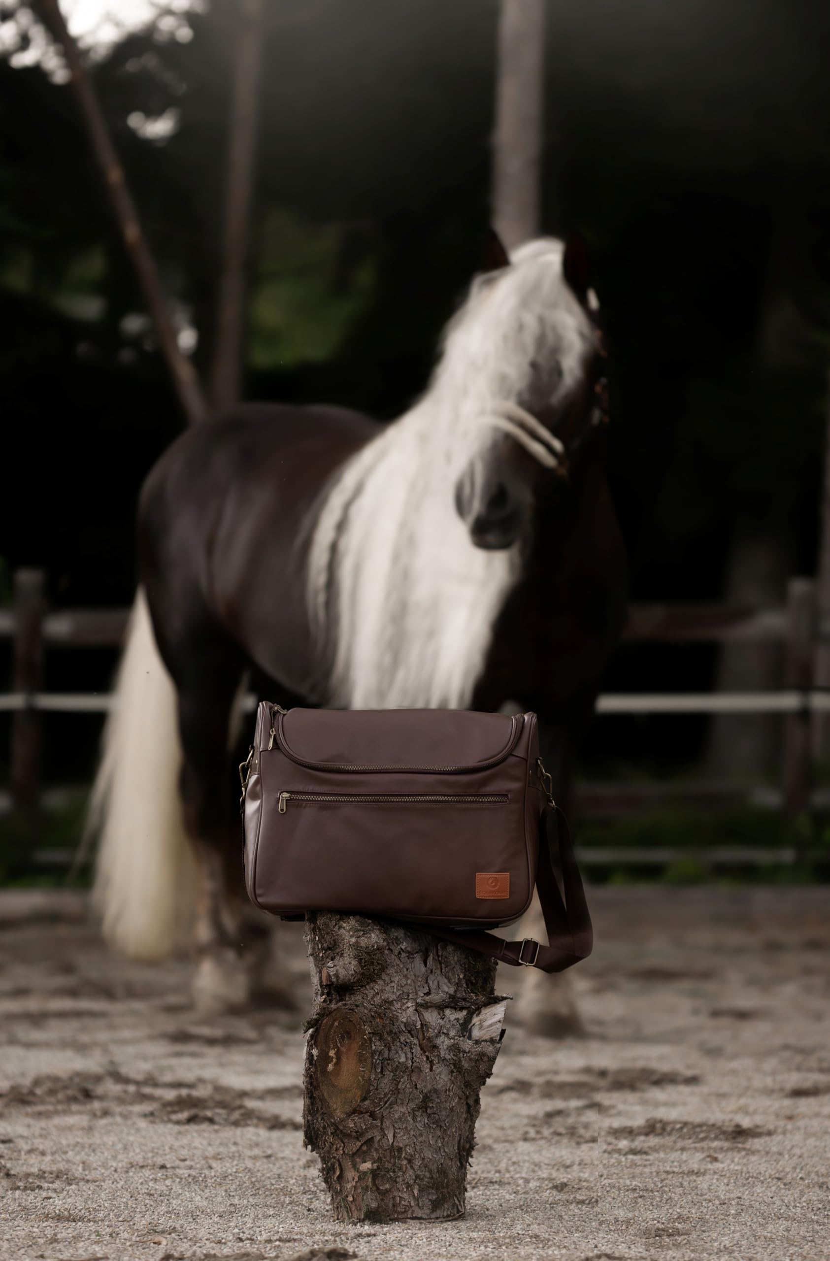Set Completo Cura del Cavallo - 12 Pezzi con Borsa da Pulizia | Set 12 pezzi premium: cardatrice, spazzole, striglia, forbici, nettazoccoli e borsa in pelle vegana