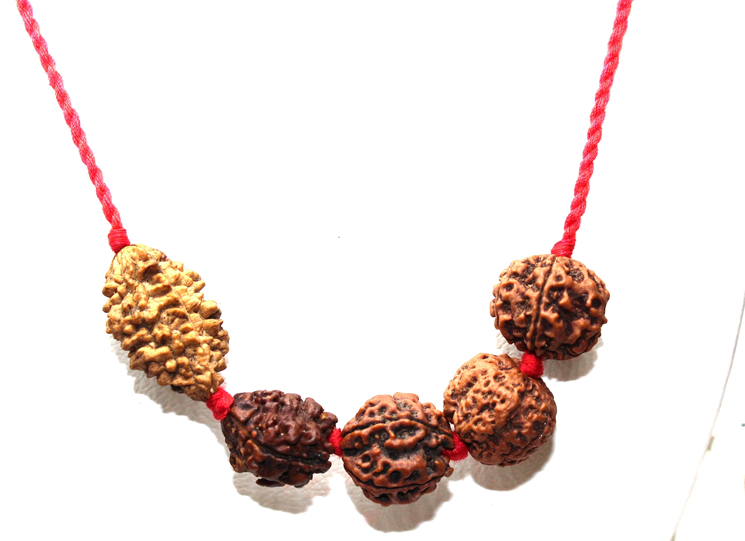 Rudraksh Rudraksha 2 3 4 5 6 Mukhi Beads Mala Necklace - Rudraksha Bracelet - Genuine Beads - Custom Rudraksha Guru bead Necklace