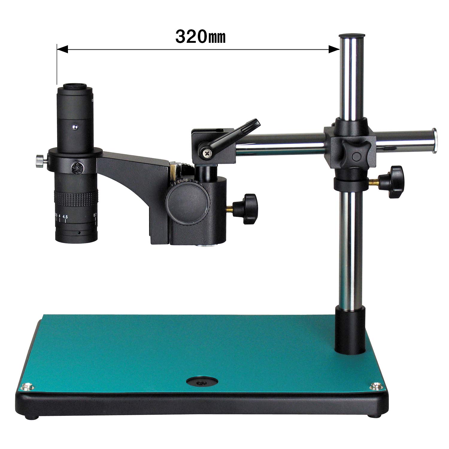 Mammal Elastic Cartilage, sec. 7 m Verhoeff's stain, Microscope Slide