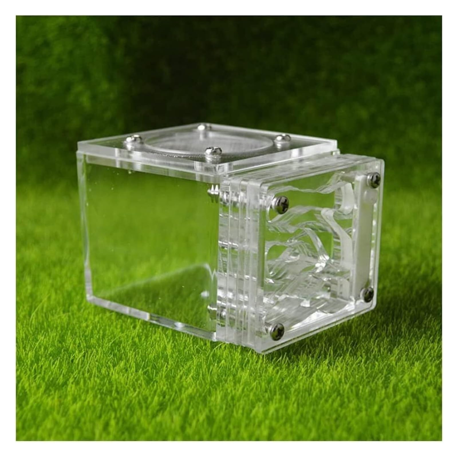 Fourmilière Vivarium Fourmis Château De Fourmis en Acrylique Transparent, Nid De Fourmis, Ferme, Villa, Maison, Atelier, Ferme De Fourmis Unique Faite À La Main Nid Fourmis(Transparent)