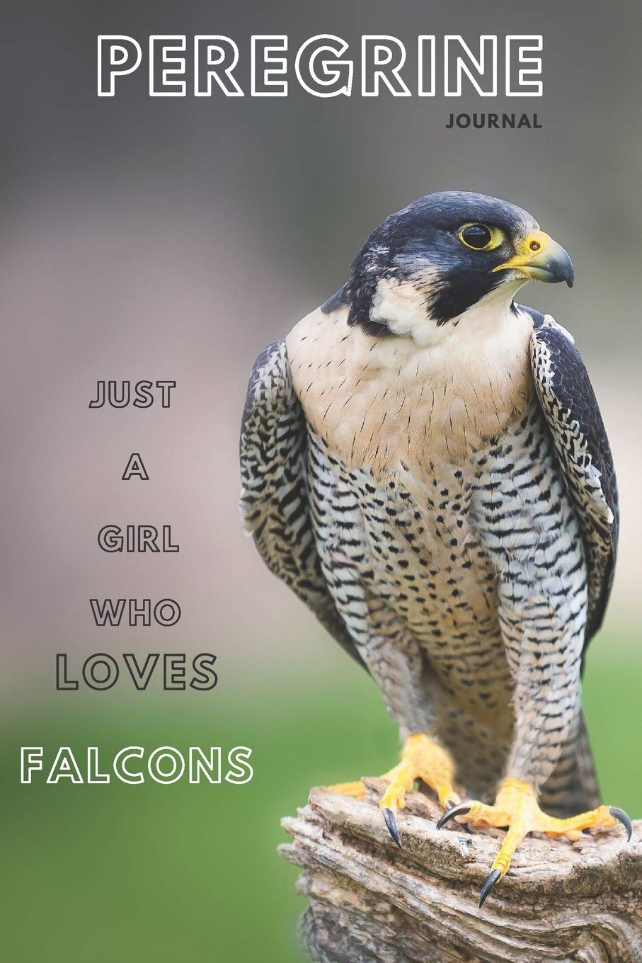 Peregrine falcon journal &Notebook 6" x 9" inch (15.24 x 22.86 cm) 100 Lined pages |lined journal ¬ebook: Peregrine falcon lined journal &falconry ... journal&bird of prey journal¬ebook