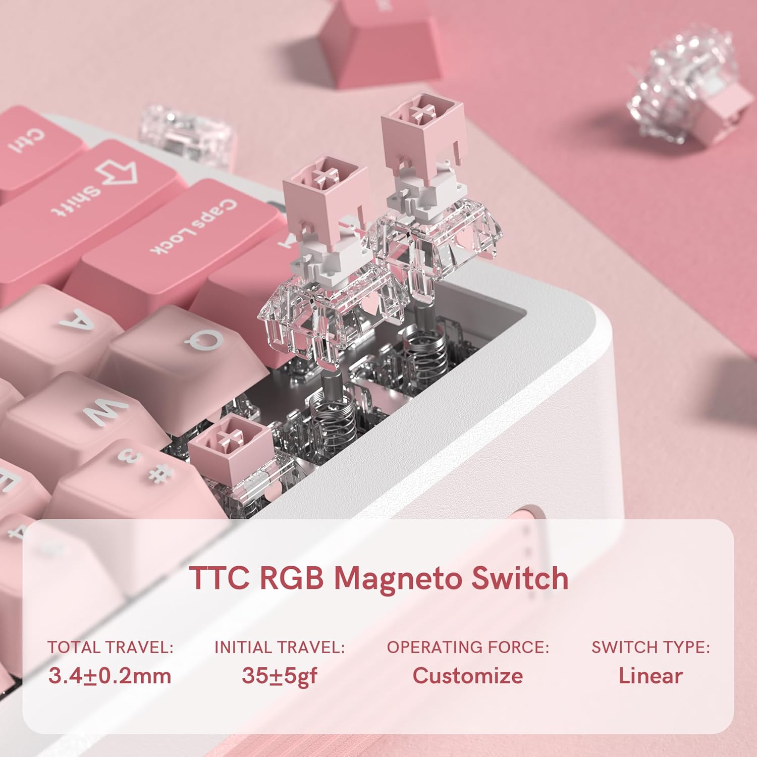 Close-up of TTC RGB Magneto Switches with specifications.