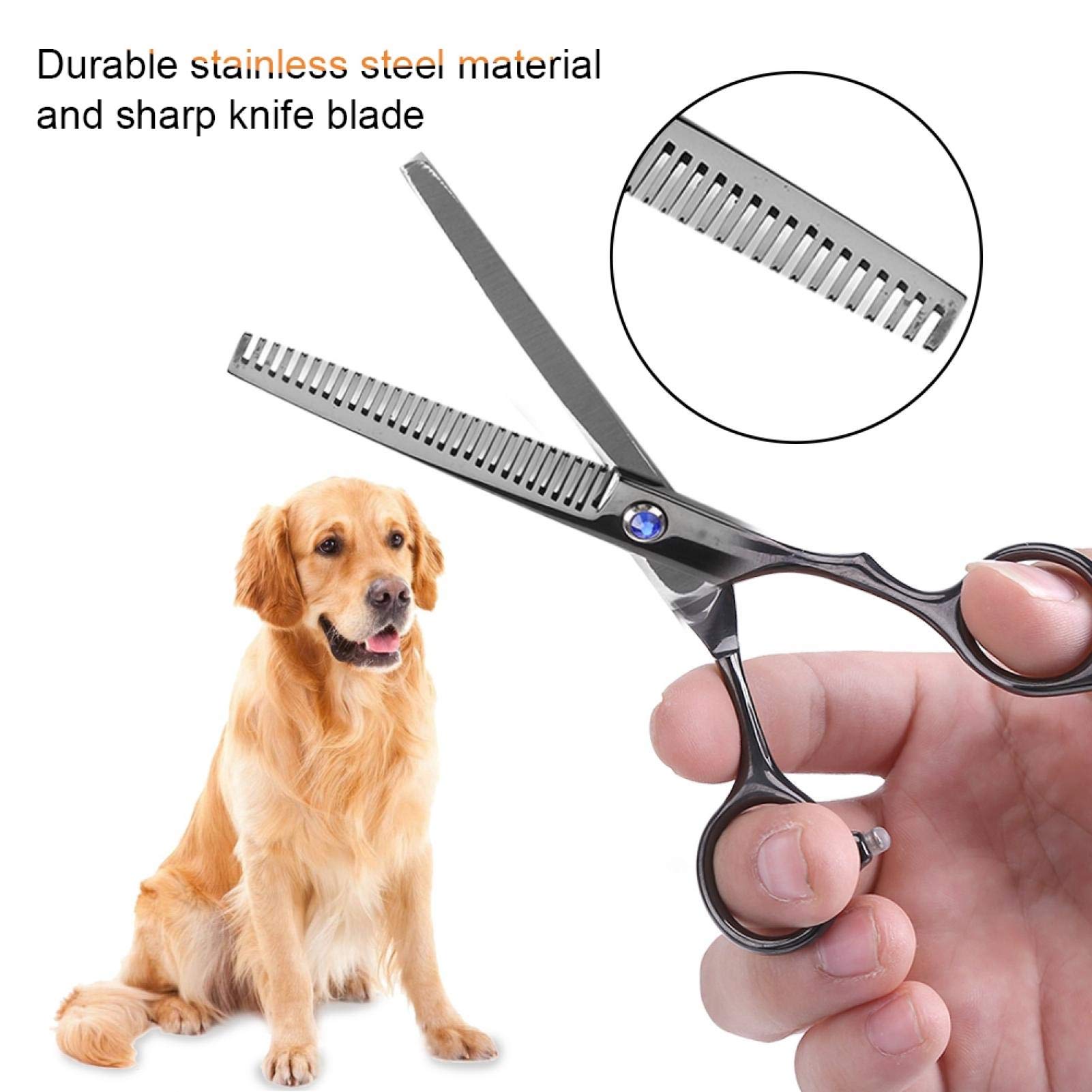 Forbici da toelettatura per animali domestici, forbici da toelettatura professionali per animali domestici con taglierina per occhi di cane in acciaio inossidabile a punta tonda per cani e gatti