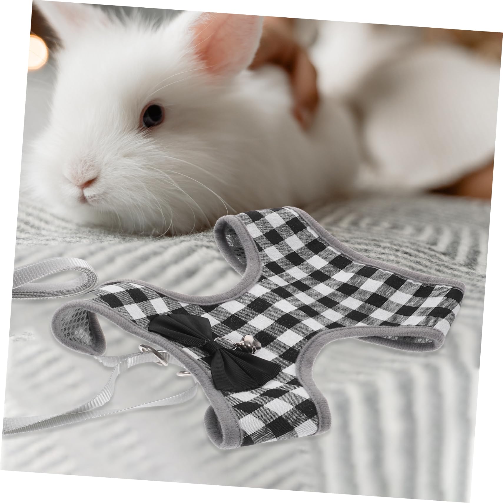 BESPORTBLE 4sätze Haustier Outfit Für Kaninchen Stylisches Und Bequemes Bunny Kostüm Mit Leine Für Partys Und Besondere Anlässe Aus Hautfreundlicher