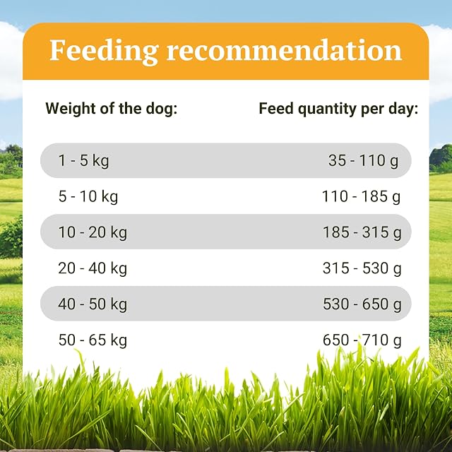 Foto 8 de 8 de Bellfor Freiland-Schmaus Pienso sin Cereales para Perros con Pollo, Monoproteico, 70% Pollo Total…