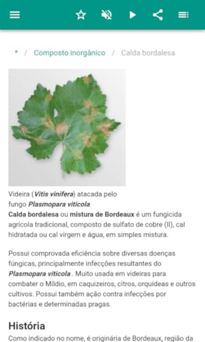Produtos inorgânicos