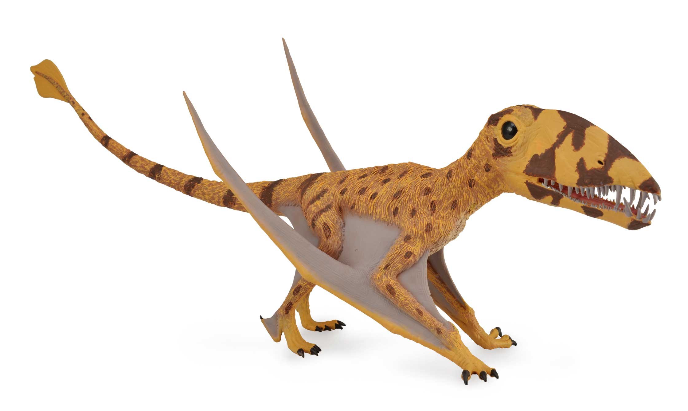 Figurka - Dinosaur dimorphodon - CollectA Deluxe 88798