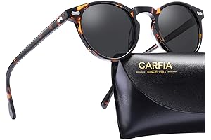 Vintage Polarized Round Sunglasses for Men CA5288L