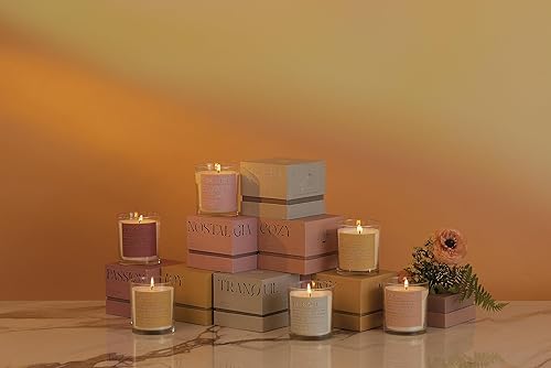 Miniatura 6 de Paddywax Scented Candles Mood Collection - Vela fragante en caja en recipiente de vidrio, 8 onzas, acogedora