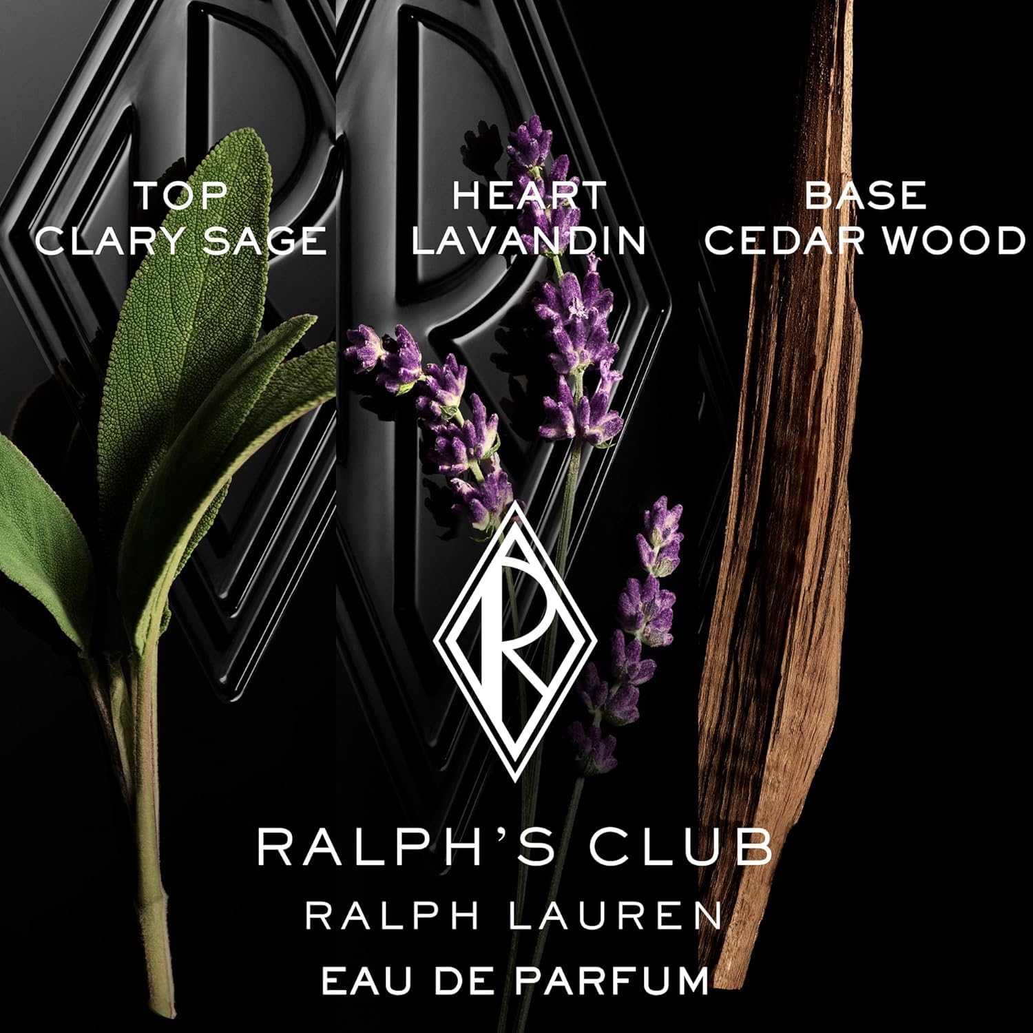Ralph Lauren Fragrances Ralphs Club Mens Cologne Discovery Set Eau