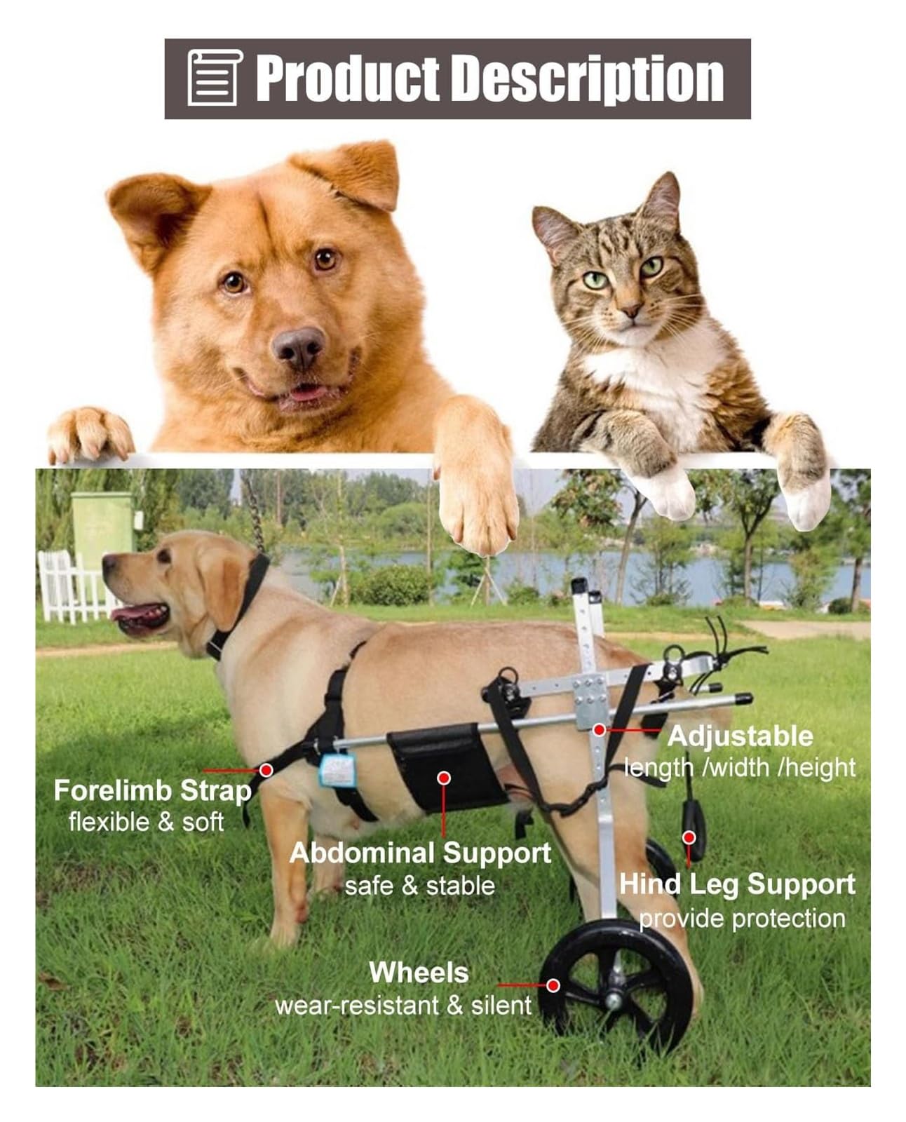 Carrello Cani Disabili, Sedia a rotelle per Cani, Deambulatore assistito a 2 Ruote for Arti Posteriori paralizzati, Carrello for la Mobilità in Alluminio(Size XXXL)