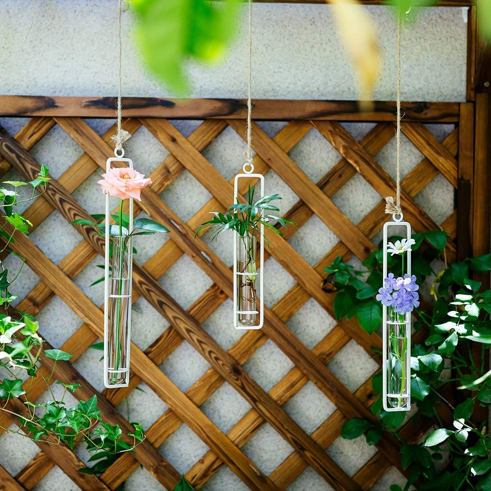 Sziqiqi Hanging Clear Glass Propagation Station Tube Vases for Cuttings Buds - Image 3