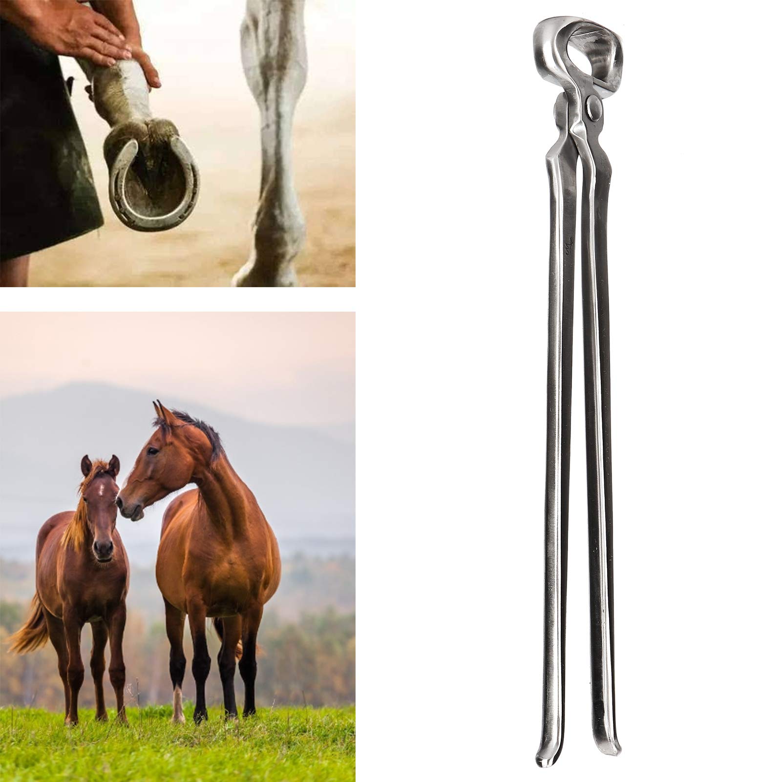 Herramientas multifuncionales para herrador de ganado, recortador de pezuñas, para caballos