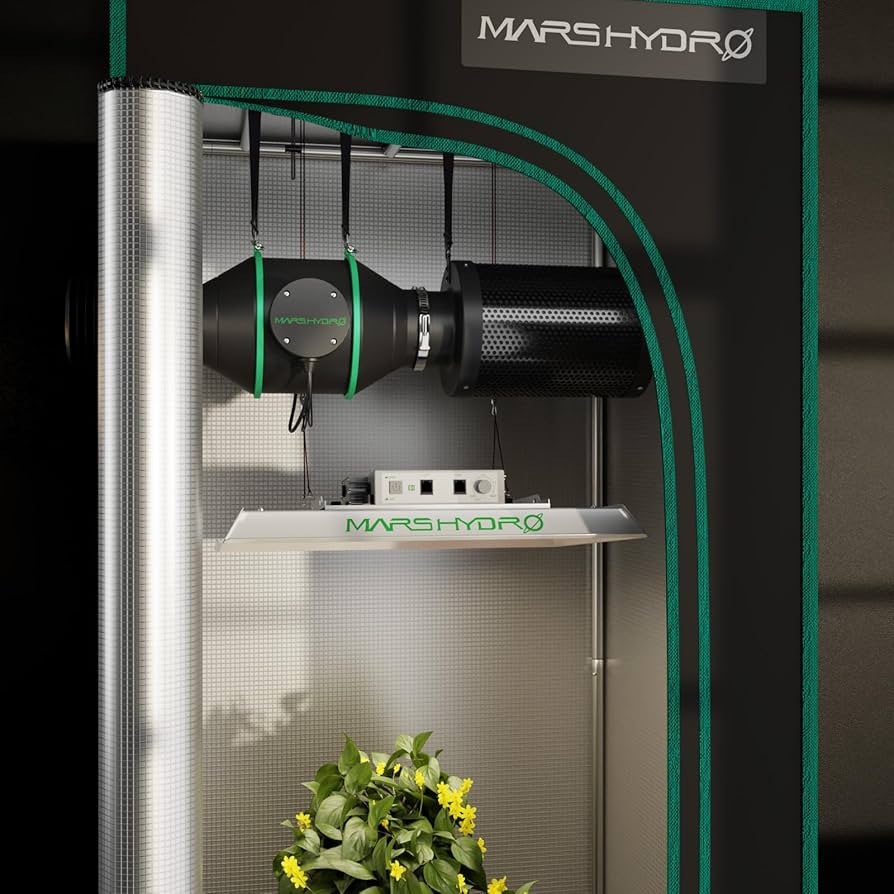 71QZBEQLwFL._AC_UF894,