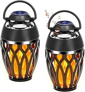 Vanten 2 Pack Outdoor Bluetooth Speakers with LED Flame Light