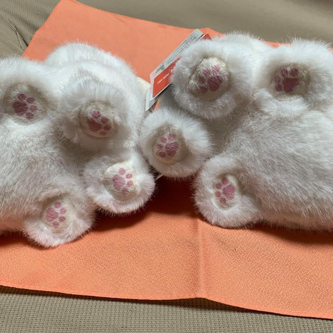 光る！ゲーミングポメラニアン ぬいぐるみ タイトー限定 2種セット