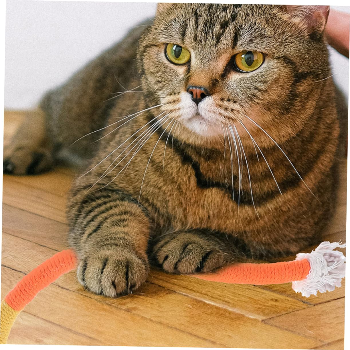 BESPORTBLE 12piezas Juguetes para Gatos De Catnip De Cuerda Masticable para y Aliviar Estrés Juguetes para Mascotas Interiores