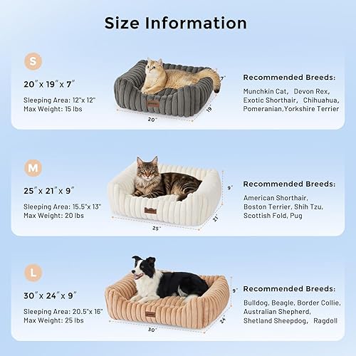 Miniatura 2 de Camas pequeñas para perros pequeños - Camas lavables para gatos de interior, cama ortopédica rectangular para cachorros con funda extraíble