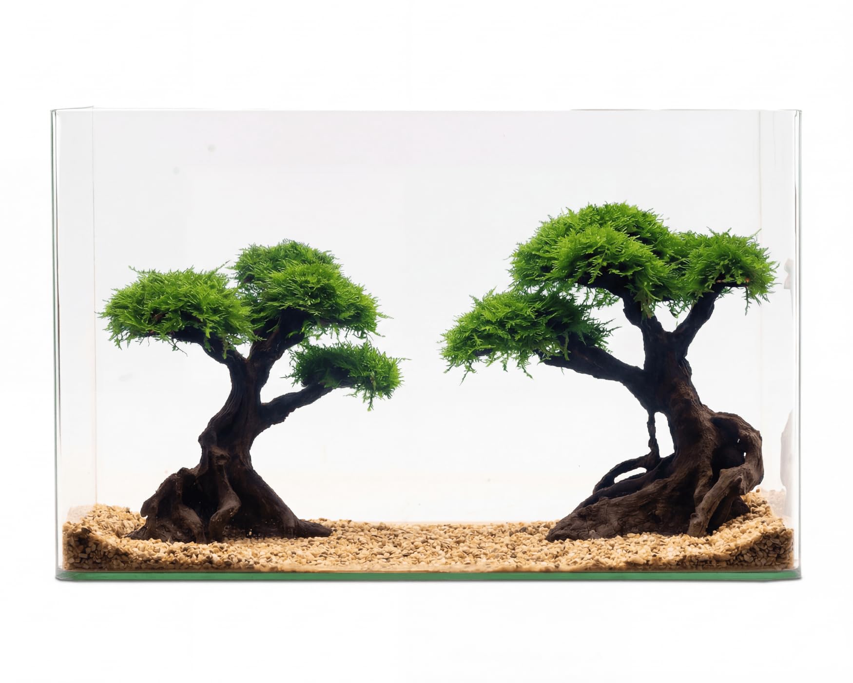 NatureHolic Christmas Moos Doppel Bonsai Baum Kasei Twin XXL 2 Stück Stone Bonsai Set bepflanzt - Aquarium Deko mit Vesicularia montagnei - Polyresin 100% inert - sofort einsatzbereit