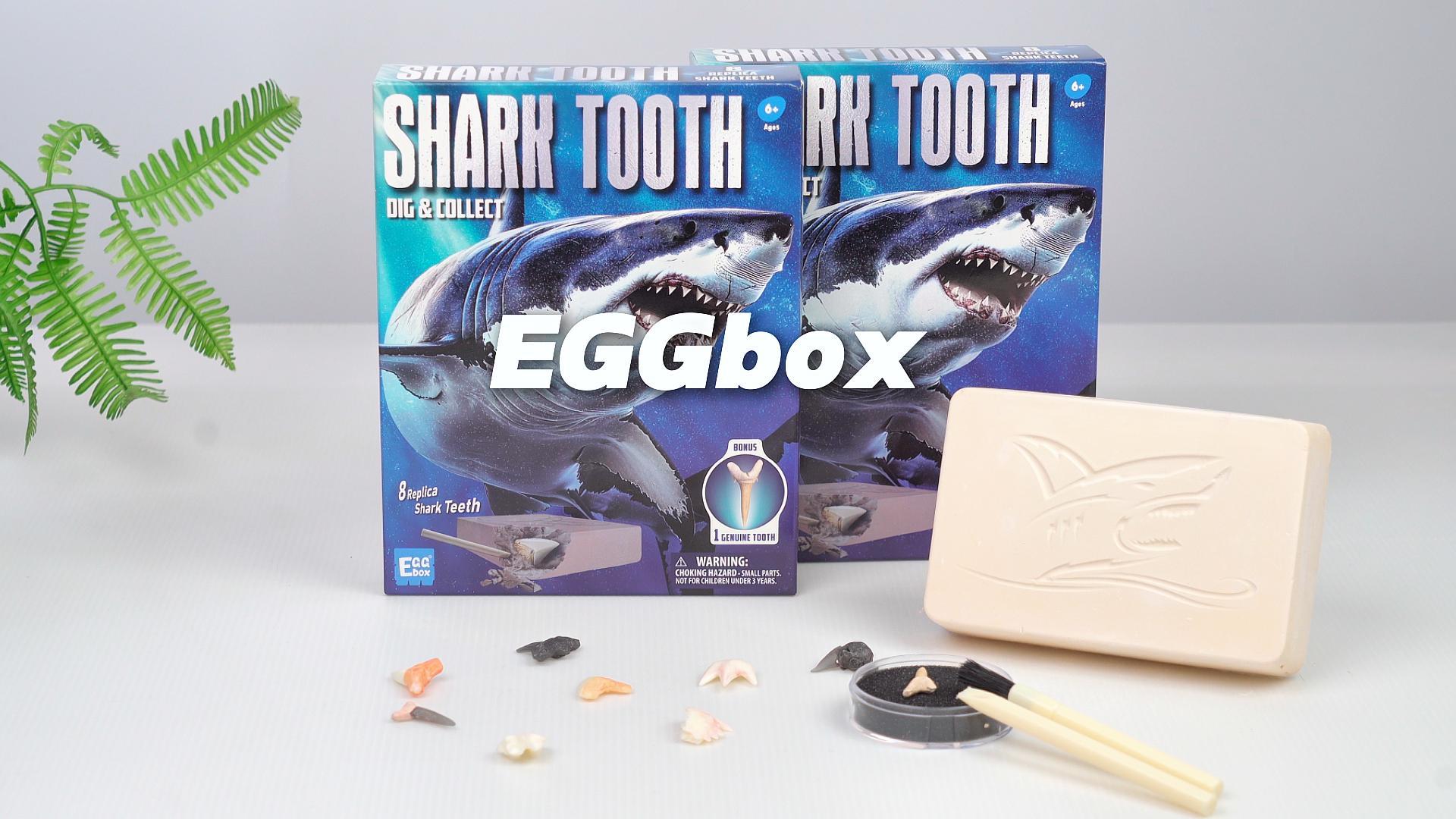 Amazon.com: EGGBOX Shark Tooth Dig Kit Excavate 8 Shark Fossils