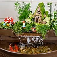 Vista 3 de Aquascape Kit de estanque AquaGarden y tratamiento de agua desintoxicante de cascada