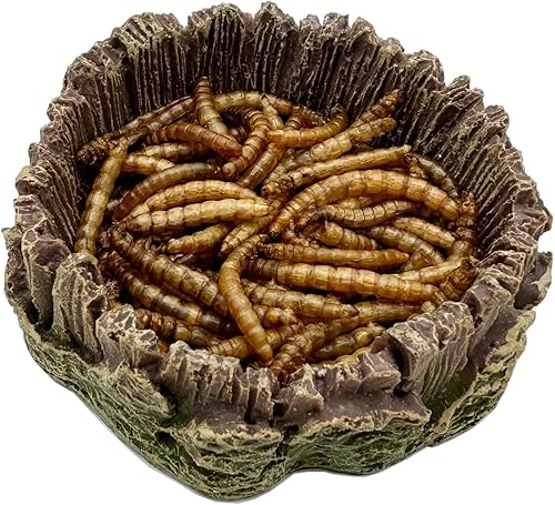 Miniatura 4 de Plato pequeño de comida para reptiles, paquete de 2 cuencos de comida para reptiles para dragón barbudo, gecko, lagarto, rana, cangrejo ermitaño,