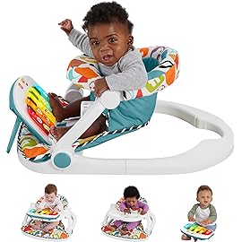 Fisher-Price Baby Portable Chair Deluxe Kick & Pla..